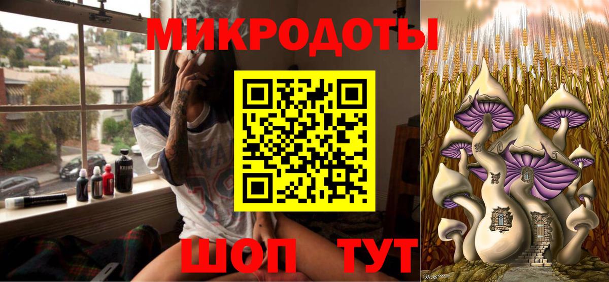 Галлюциногенные грибы Magic Shrooms Курчалой